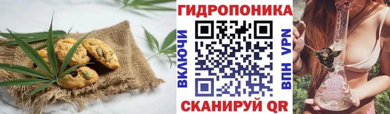 что такое наркотик  Змеиногорск  Печенье с ТГК марихуана 
