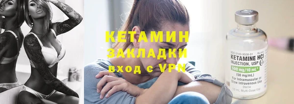 сатива Заводоуковск