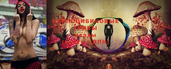 скорость Заволжье