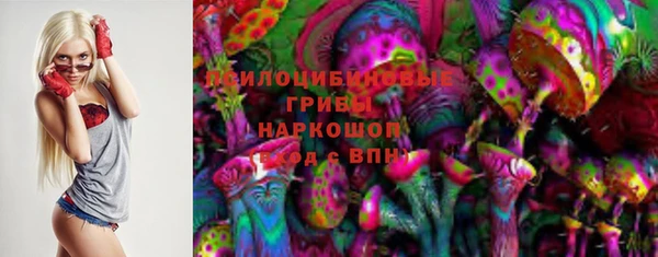 сатива Заводоуковск