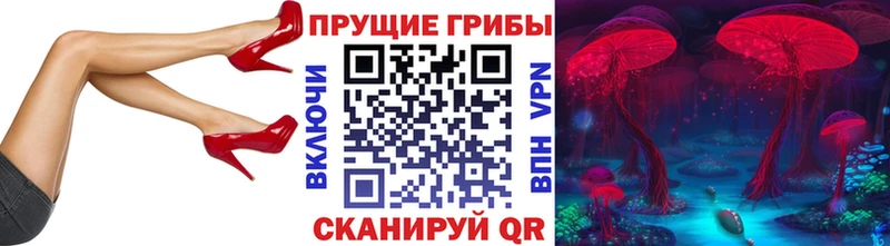 сколько стоит Змеиногорск Галлюциногенные грибы Psilocybine cubensis